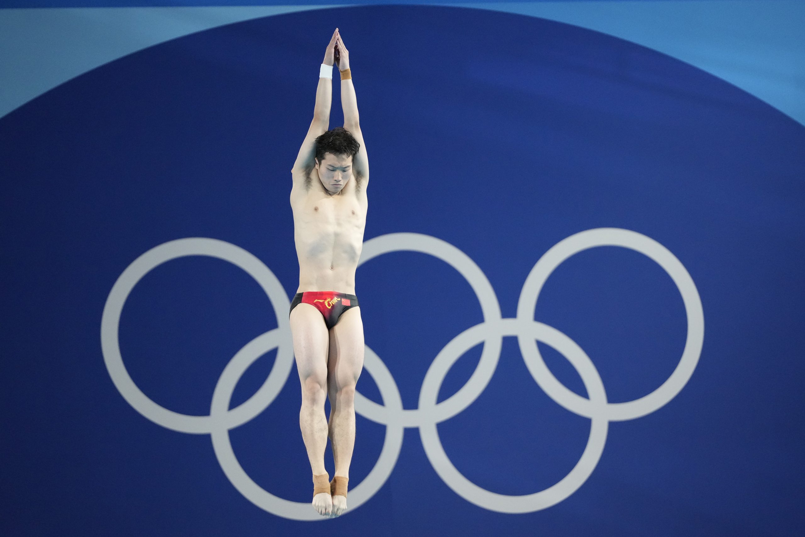 Cat diving, exploring underwater world 🐱🌊 Adventure beneath the waves # ...