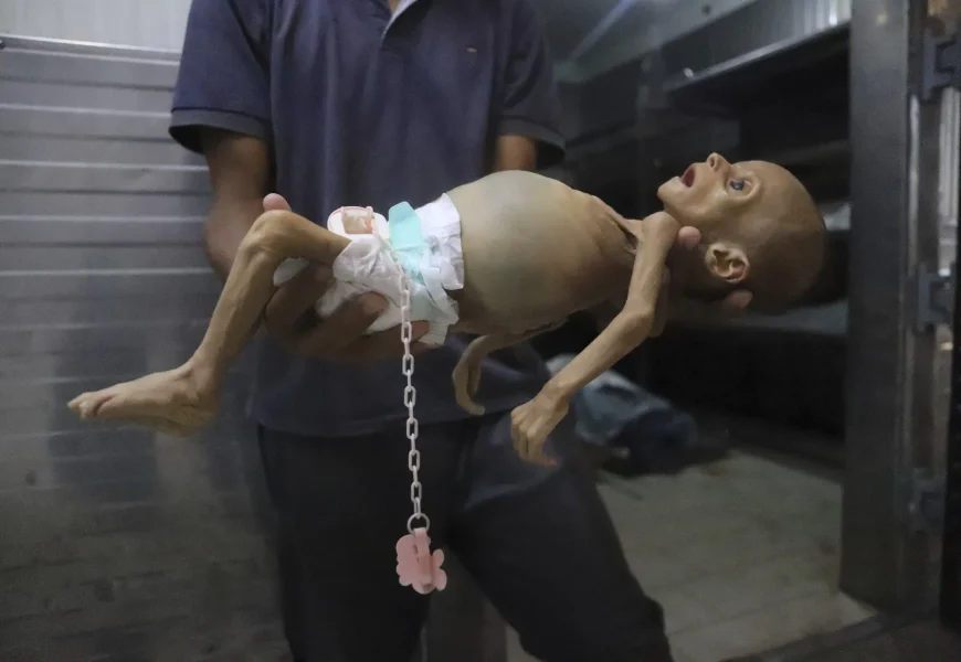 Israel calls on famine-stricken residents to flee and targets more high ...